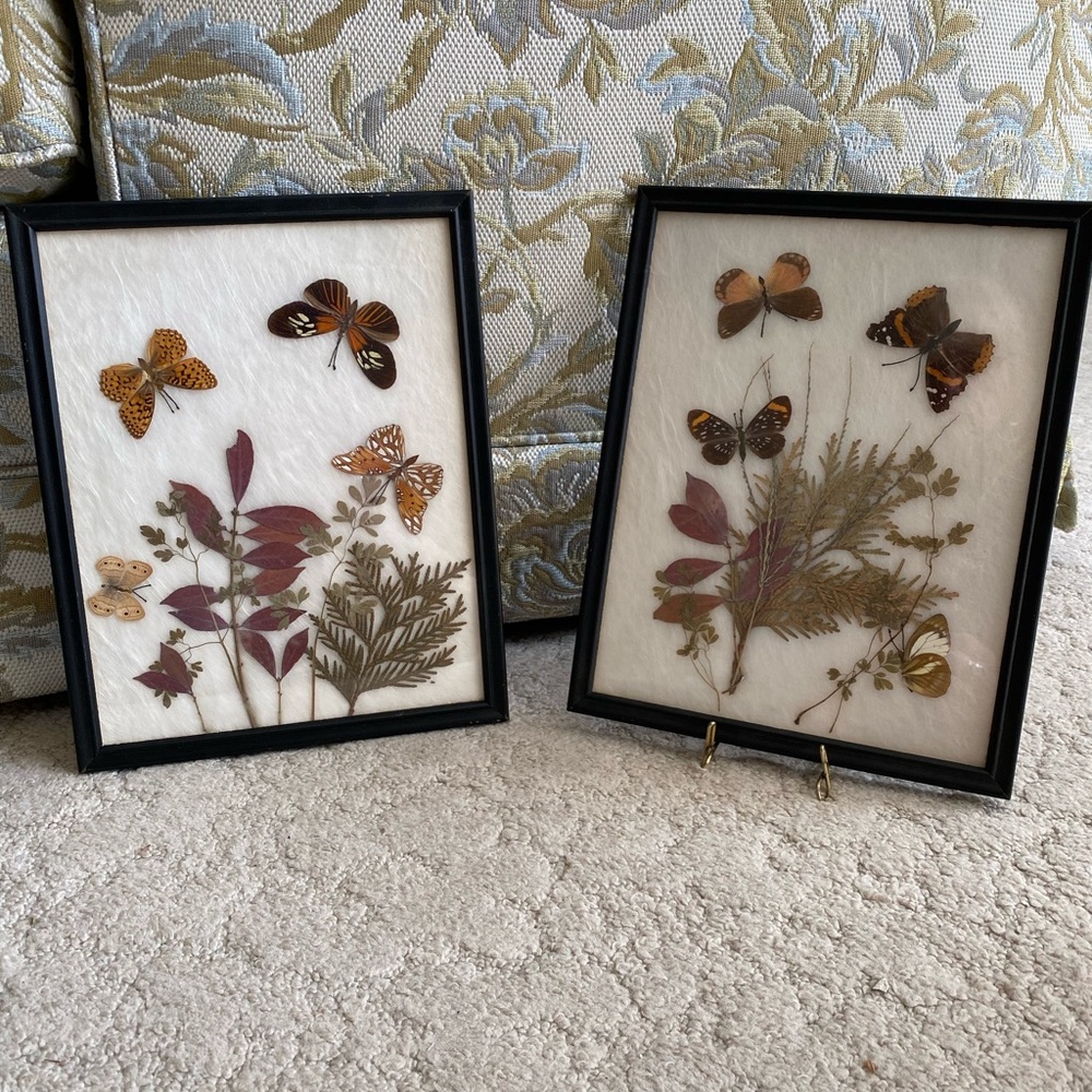 COPY - Pressed Flowers and Butterflies Framed